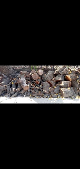 Урик утин сотилада