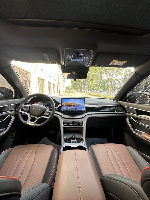 BYD Song Plus DM-i Champion 2024 — 3