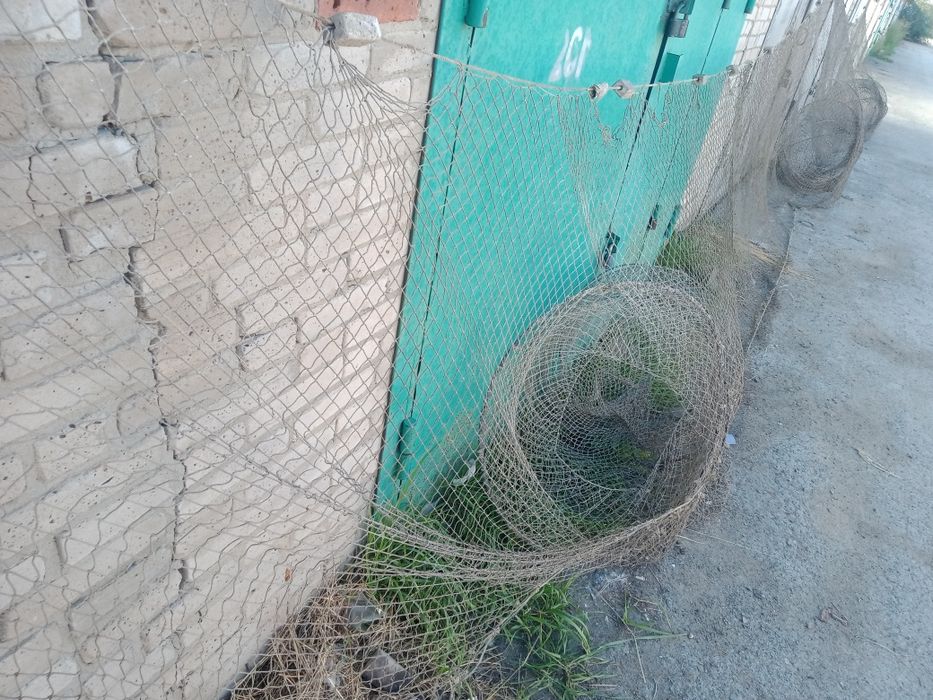 Рыбатский ставленик