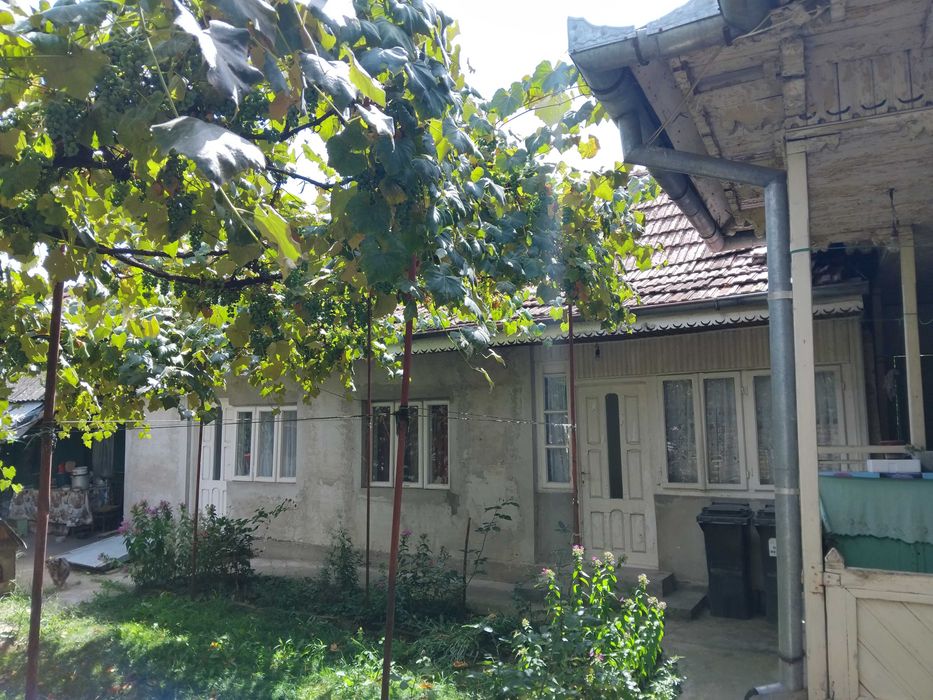 Locuinte pentru familii