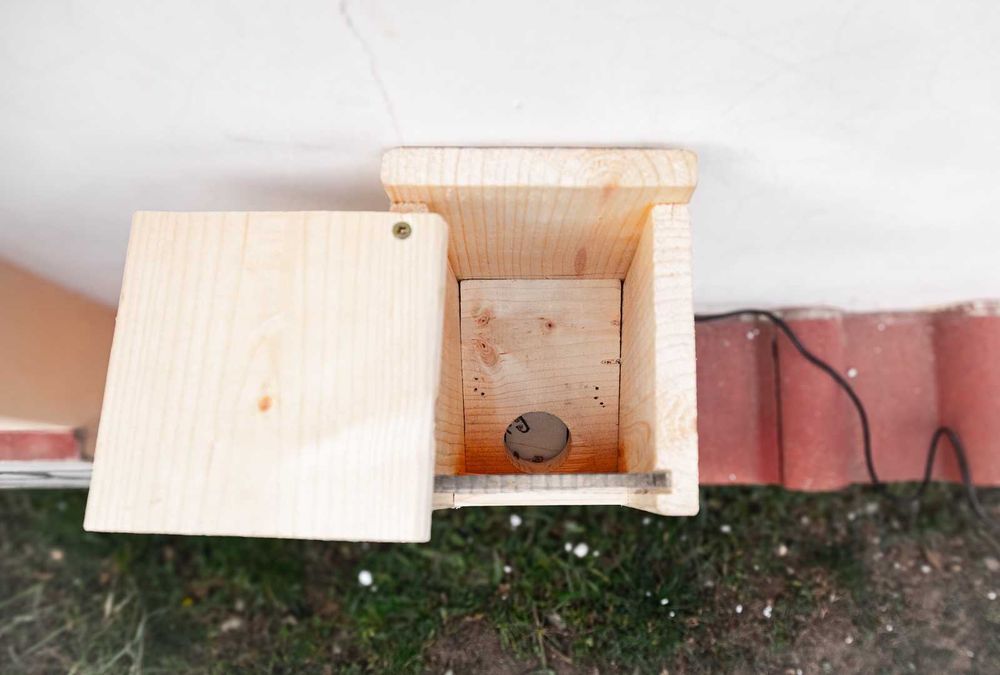 Автоматична хранилка за животни