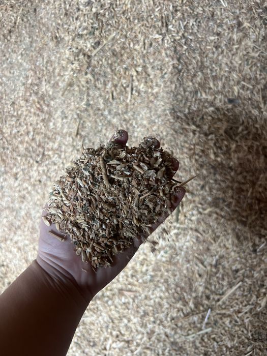 Сечка бидай сатылады