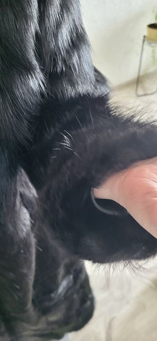 Шуба нутрия  52-54 размер