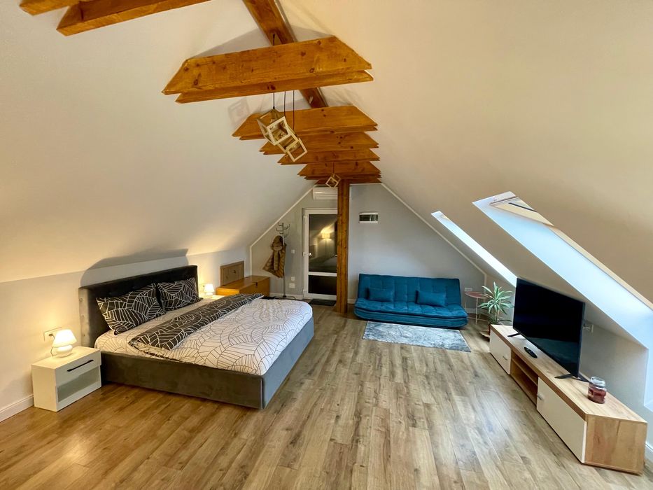 STUDIO DE ÎNCHIRIAT – VILLA NIKOLAS BY THE LAKE, GEACA, Cluj