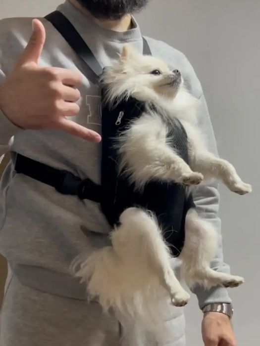 Рюкзак переноска