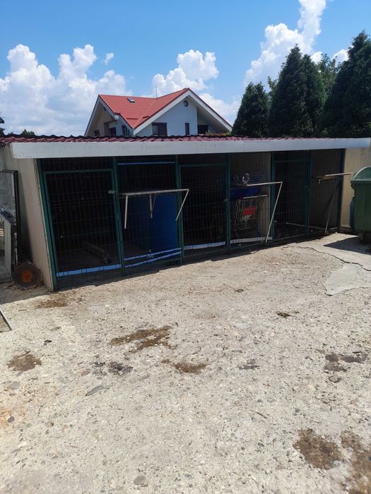 Voliera porumbei/ Padoc câini