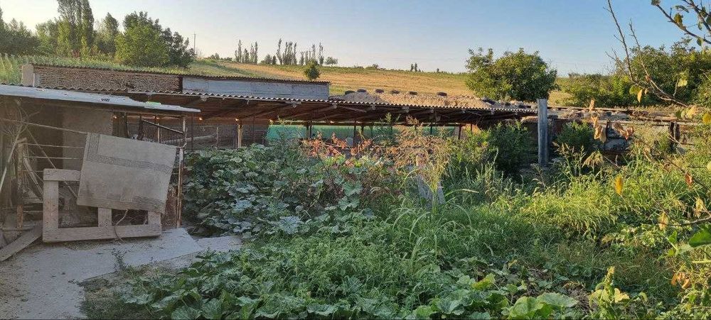 12 сот. Тошкент вил. Янгийул туман Бозсу К.Ф.Й. Янгиобод махалла 26-уй