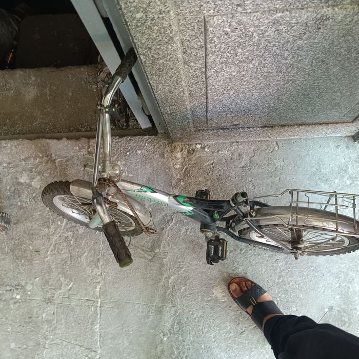 Velik sotiladi   olti yishdan 17 yoshgacha