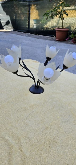 Полилей - с пет крушки