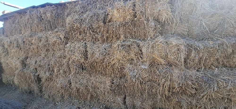 Шоли прес сотилади