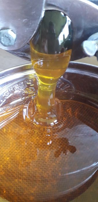 Пчелен мед букет,прополис(клей) ,пчелен прашец и восъчни разпечатки.Реколта 2026 г.