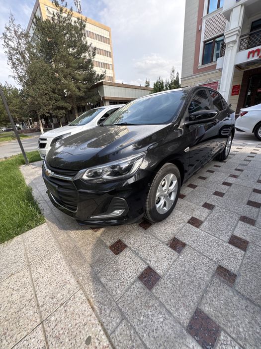 Onex 6 позитсия краска тозза