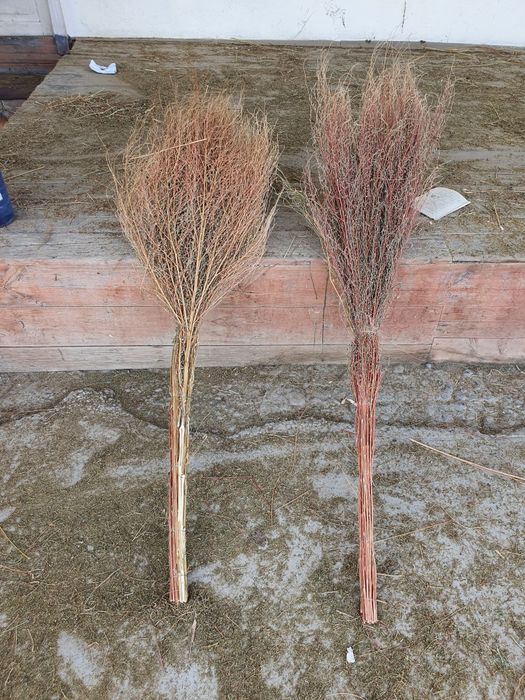 METLA kocha supirgi optim!!!