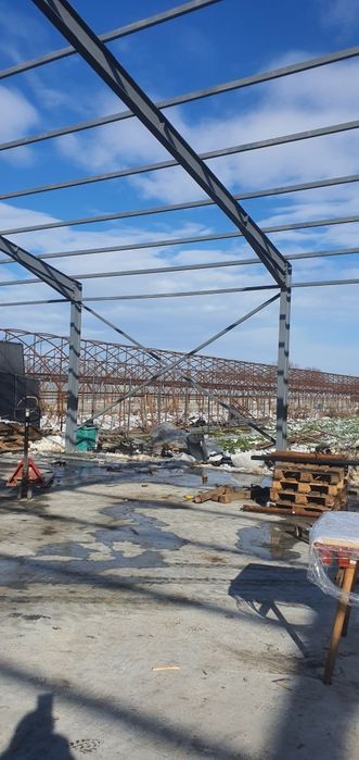 Vand hala metalică 20x55x4