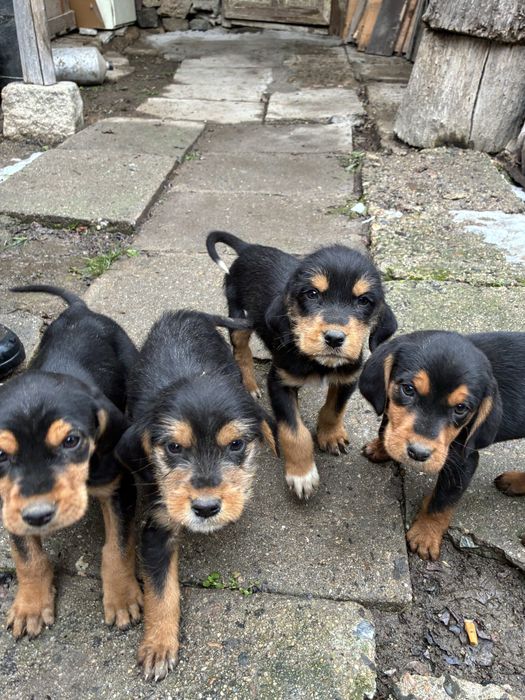 Бараци от работещи родители