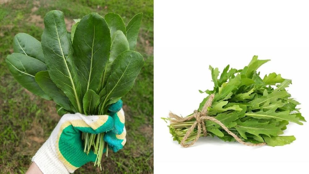 Свежая усма табиғи өнім