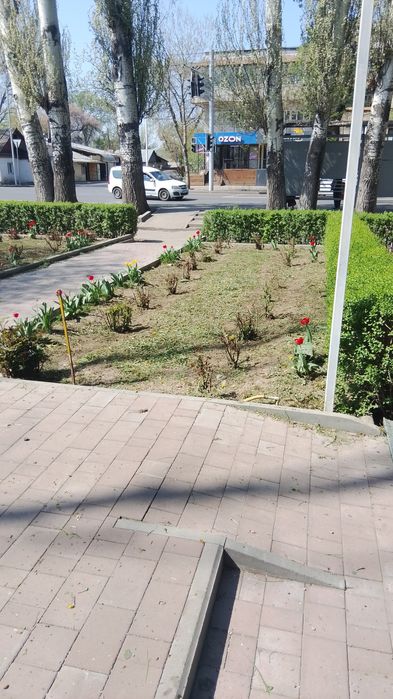 Покос травы триммером штиль