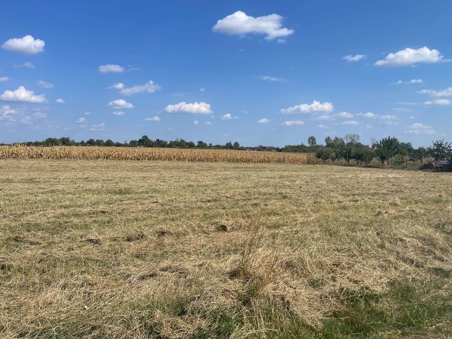 Teren intravilan Cersani, 5 km distanta de Bradu 10 euro mo
