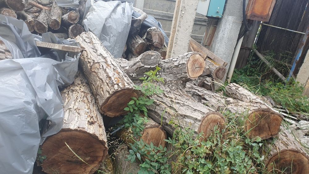 Lemn nuc, trunchi întreg și ramuri groase tăiate la 1 m lungime