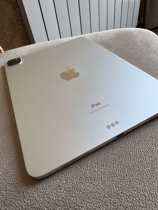 Ipad Pro 11 256 gb (2 gen.)