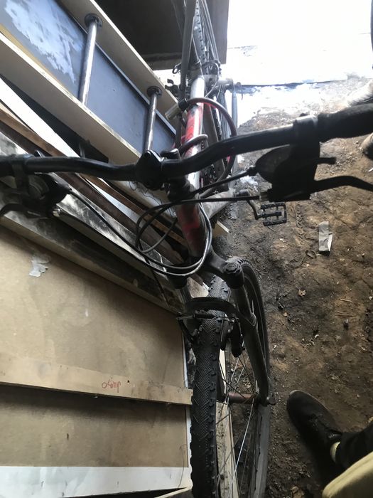 Продам 2 велика в хорошем состояние