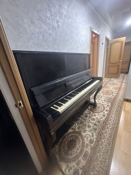 Фортепиона Беларусь