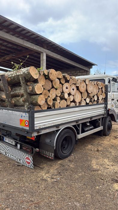 Lemne de foc esenta tare