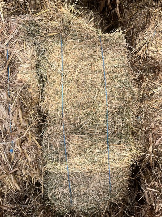 Baloti de cocenasi si trifoi !