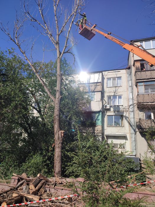 спил деревьев любой сложности