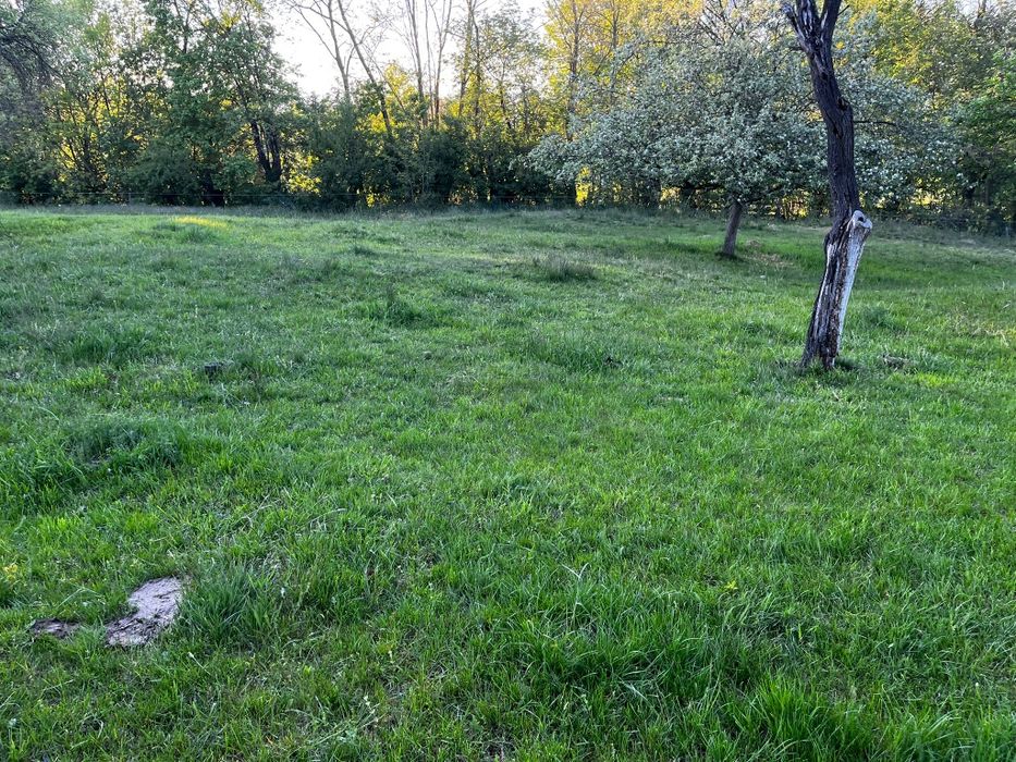 Vând teren extravilan Pianu de Sus