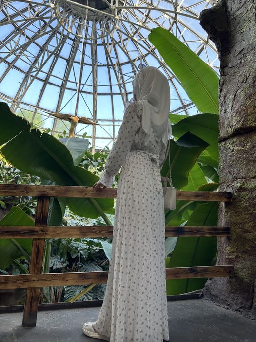 Kotta Ayiqlar sotilad