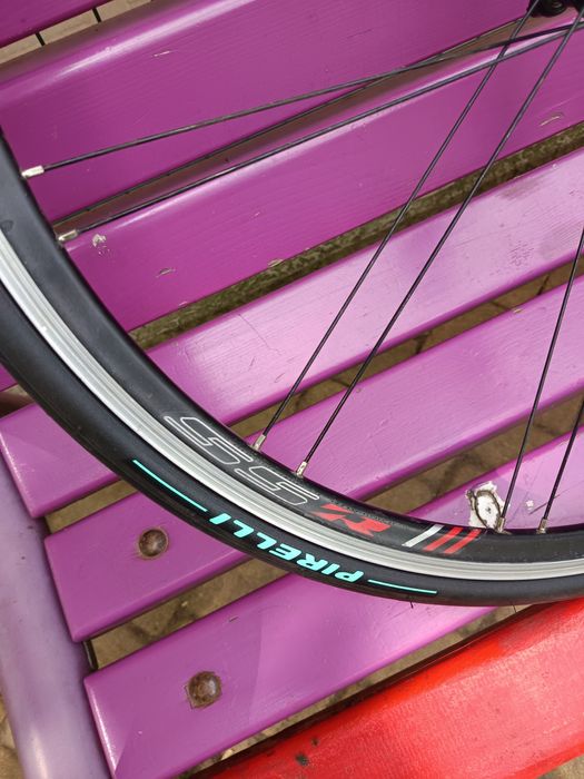 Roti cursiera bontrager ss