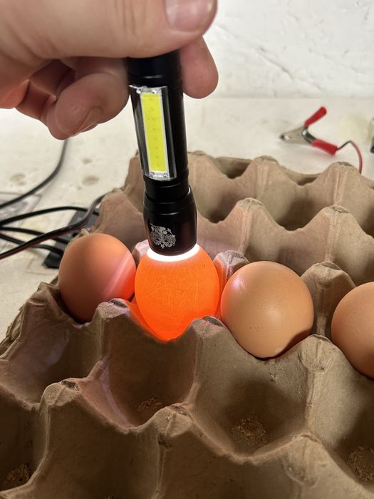 Фонар для овоскопирование яйцо
