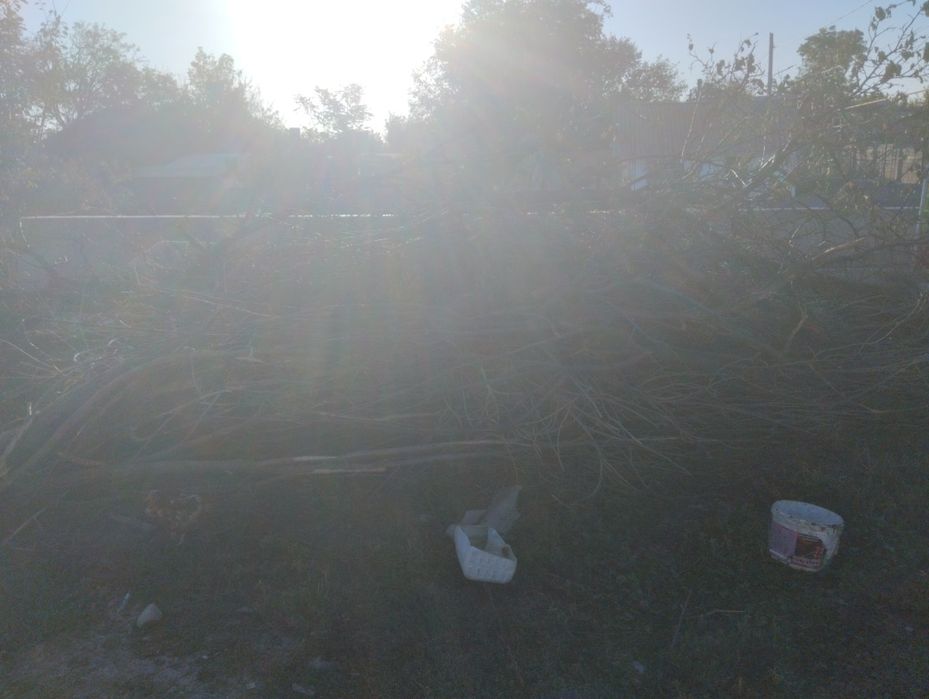 На Дрова бесплатно