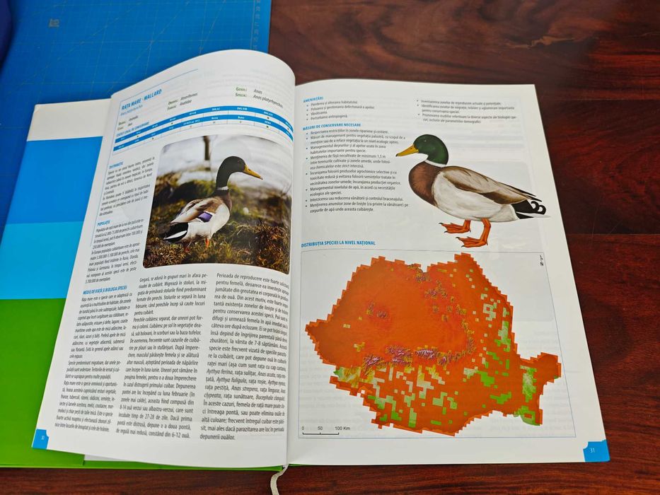 Atlas al speciilor de pasari de interes comunitar din Romania