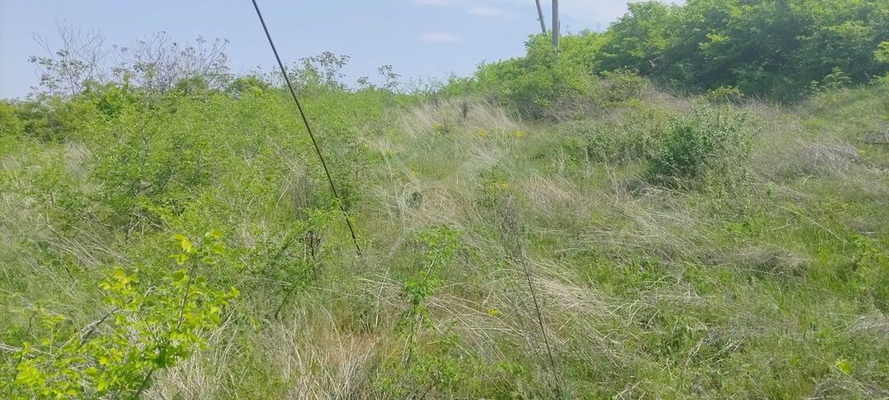 Парцел в Първенец 56164