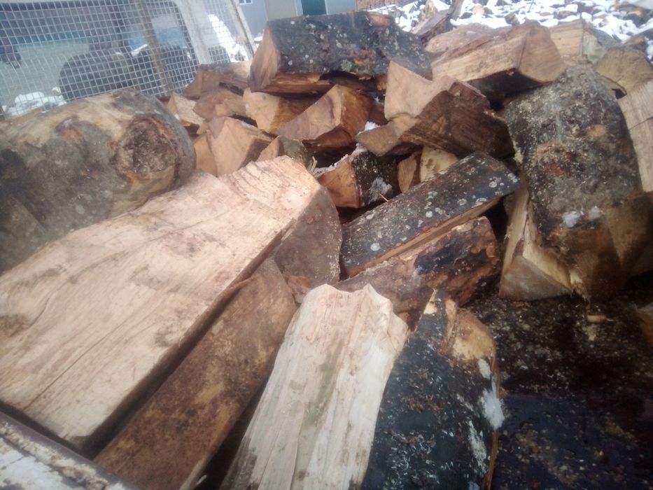 Vând lemne de foc fag crepatura și răritură  detali la tel 0745362981