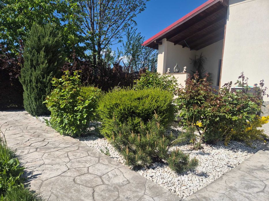 De vanzare casa P+M+BECI