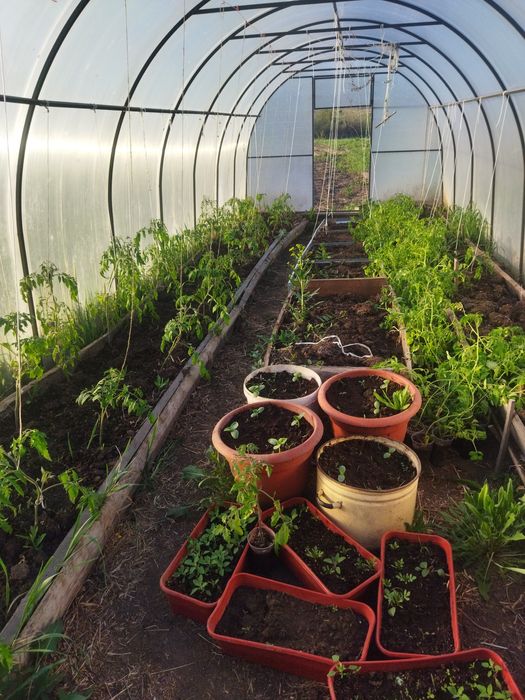 Продам дом село Белокаменка