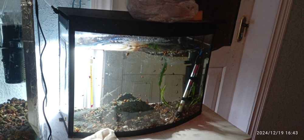 Продам аквариум с рыбками. Аквариум сотилади баликлари билан