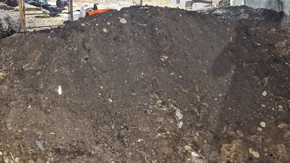 Чиринди гунг угит