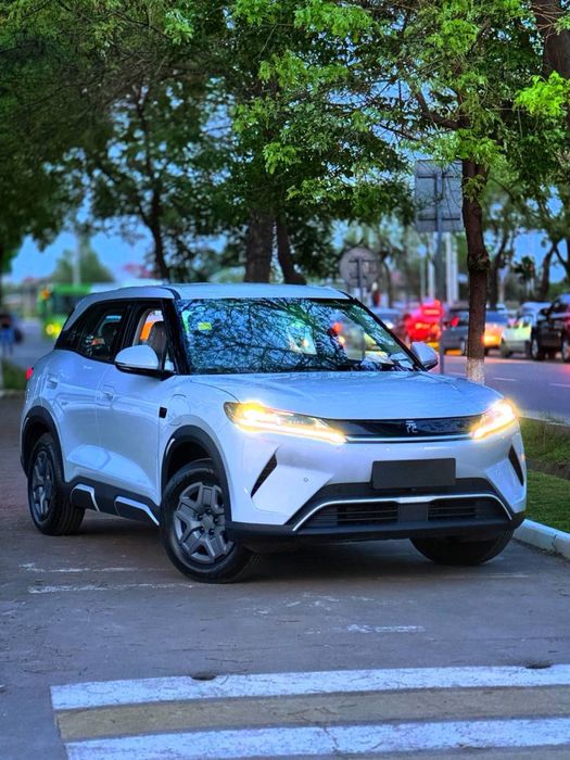 BYD yuan up smart 2025 yil