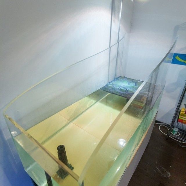 Acvarii din plexiglas la orice dimensiuni si forme