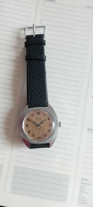 Ceas Pilot Geneve