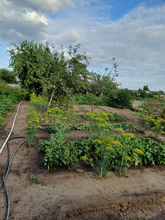 Продам дачу 4 сотки