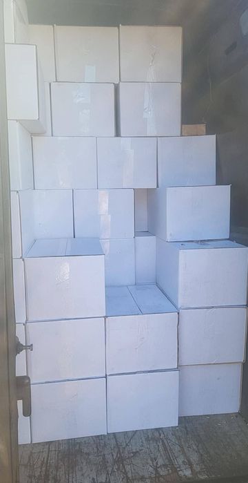 Miez de nuca producție 2025