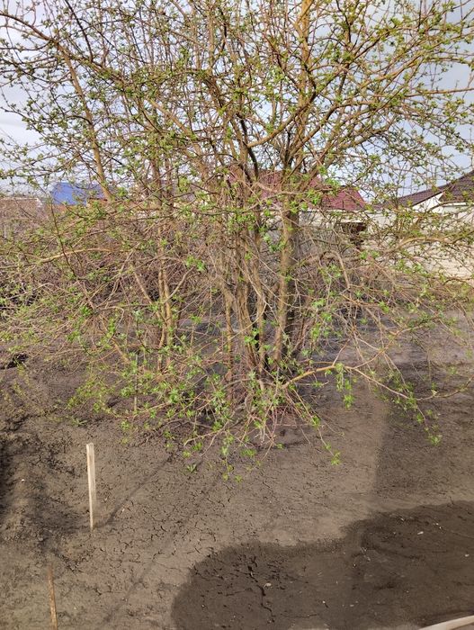 Услуги грузчиков