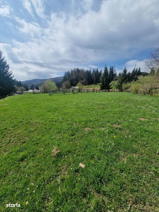 Vindem teren intravilan in Pojorata - Suceava - Bucovina - Vedere 4