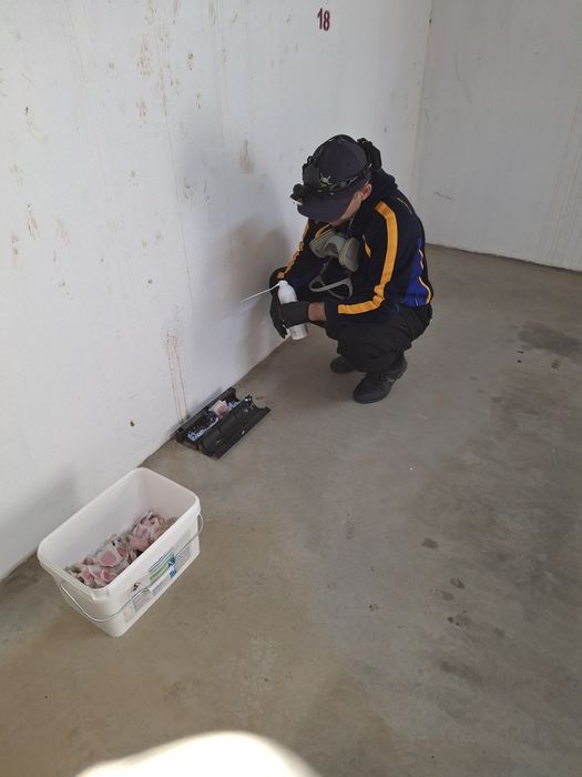 Dezinsectie, Dezinfectie, Deratizare - Servicii DDD - Contract DDD- Bu