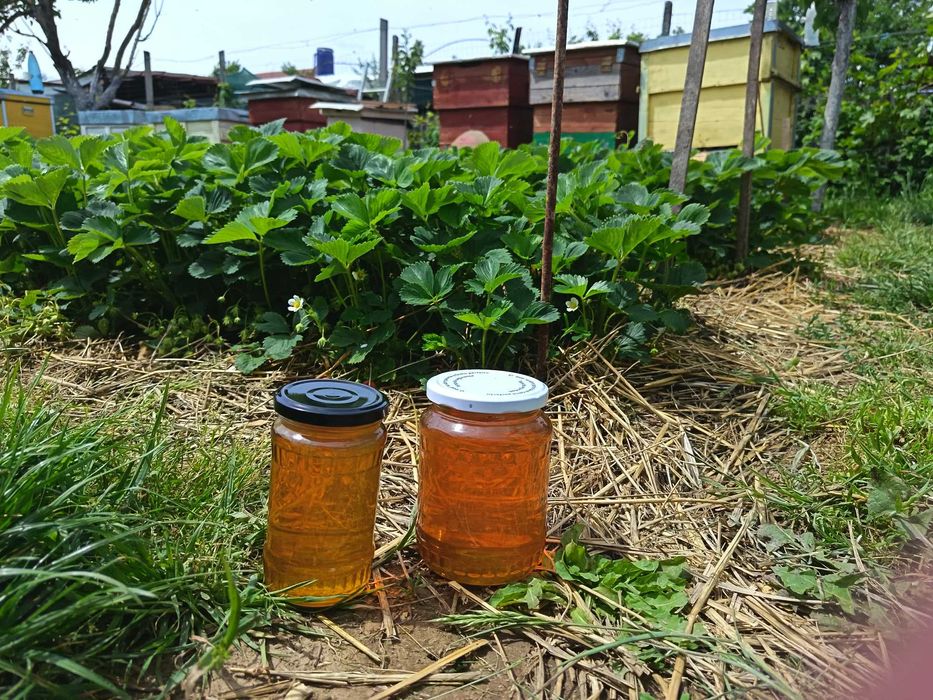 Miere naturala din productie proprie